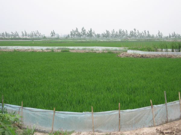 生态基地